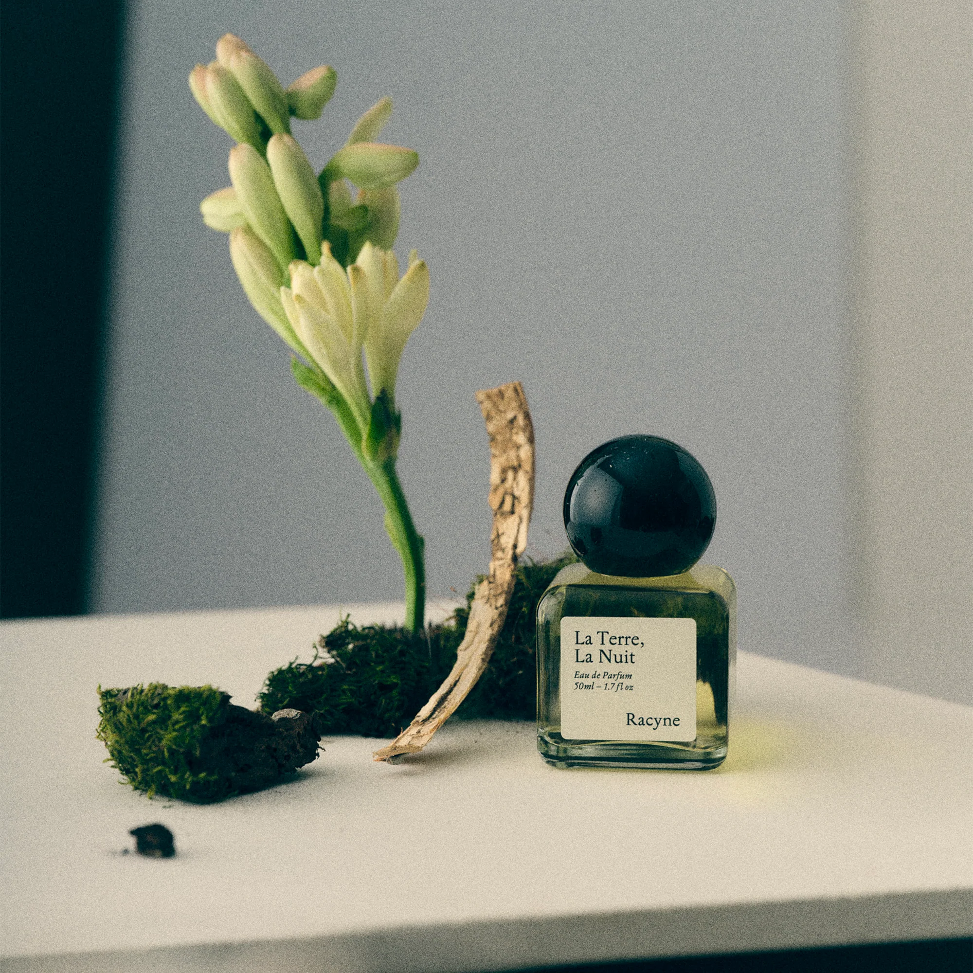 Miniature 5